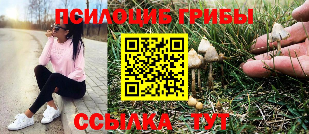 Карталы  Галлюциногенные грибы мухоморы  Псилоцибиновые грибы Magic Shrooms  Вход с VPN 